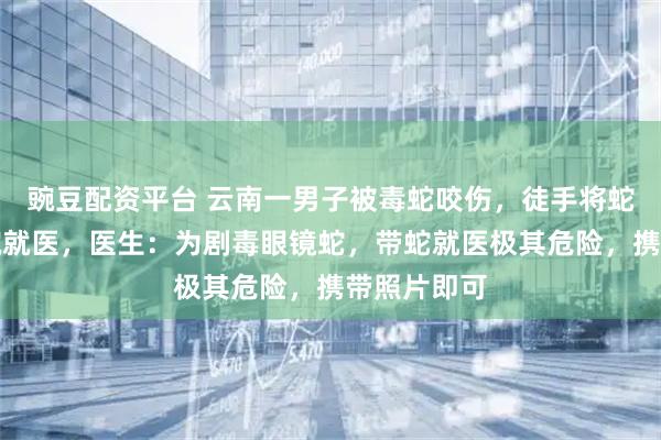 豌豆配资平台 云南一男子被毒蛇咬伤,徒手将蛇活捉到医院就医,医生:为剧毒眼镜蛇,带蛇就医极其危险,携带照片即可